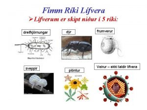 Fimm Rki Lfvera Lfverum er skipt niur 5