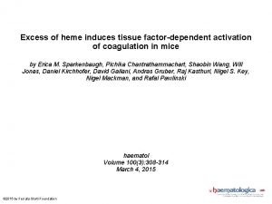Excess of heme induces tissue factordependent activation of