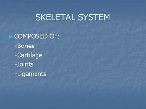 SKELETAL SYSTEM COMPOSED OF Bones Cartilage Joints Ligaments