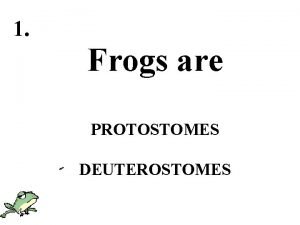 1 Frogs are PROTOSTOMES DEUTEROSTOMES 2 Starfish have