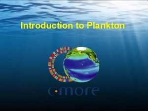 Is plankton a plant
