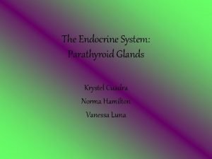 The Endocrine System Parathyroid Glands Krystel Cuadra Norma