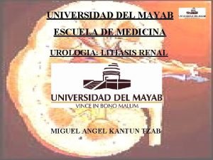 UNIVERSIDAD DEL MAYAB ESCUELA DE MEDICINA UROLOGIA LITIASIS