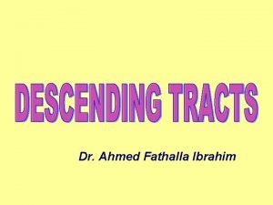 Dr Ahmed Fathalla Ibrahim CORTICOSPINAL TRACTS Concerned with