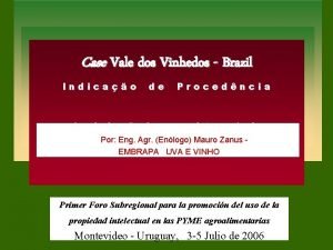 Case Vale dos Vinhedos Brazil Indicao de Procedncia