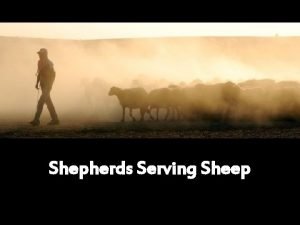 Shepherds Serving Sheep Biblical Description Character Elders Presbuteros