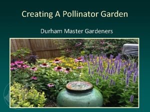 Creating A Pollinator Garden Durham Master Gardeners Why