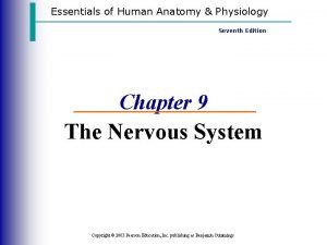 Essentials of Human Anatomy Physiology Seventh Edition Chapter