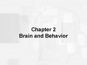 Chapter 2 Brain and Behavior Neuron and Its