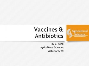 Vaccines Antibiotics By C Kohn Agricultural Sciences Waterford