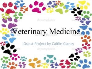 Veterinary Medicine i Quest Project by Caitlin Clancy
