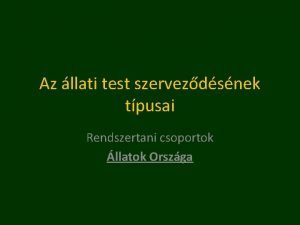 Az llati test szervezdsnek tpusai Rendszertani csoportok llatok