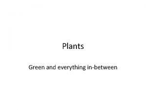 Plants Green and everything inbetween A brief billion
