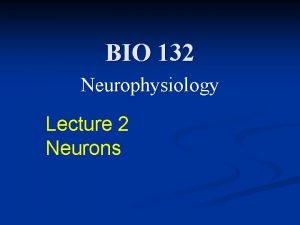 BIO 132 Neurophysiology Lecture 2 Neurons Lecture Goals