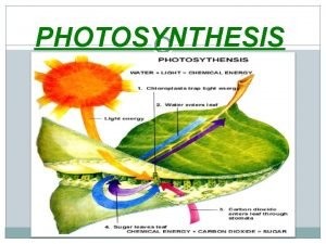 PHOTOSYNTHESIS What is photosynthesis The biochemical process in