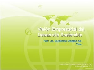 Visin Empresarial del Desarrollo Sostenible Sociedad de Comercio