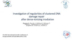 Clustered DNA lesions Base Excision repair Nucleotide Excision