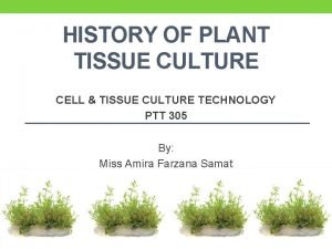 HISTORY OF PLANT TISSUE CULTURE CELL TISSUE CULTURE