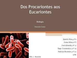 Dos Procariontes aos Eucariontes Biologia Manuela Gomes Beatriz