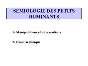 SEMIOLOGIE DES PETITS RUMINANTS 1 Manipulations et interventions