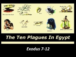 The Plagues of Egypt Exodus 7 12 Who