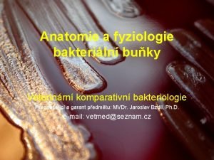 Anatomie a fyziologie bakteriln buky Veterinrn komparativn bakteriologie