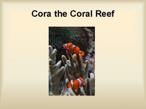 Cora the Coral Reef 1 Cora the coral