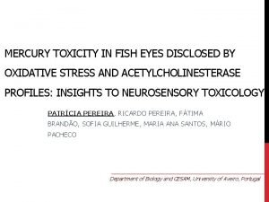 MERCURY TOXICITY IN FISH EYES DISCLOSED BY OXIDATIVE