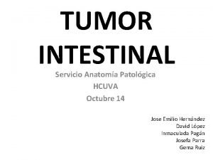 TUMOR INTESTINAL Servicio Anatoma Patolgica HCUVA Octubre 14