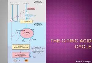 Citric acid