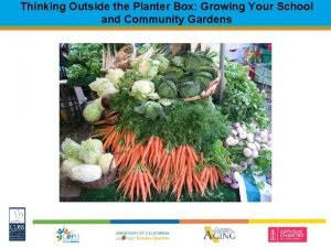 Thinking Outside the Planter Box Growing Your School