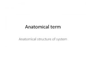 Anatomical term Anatomical structure of system Objectives Name