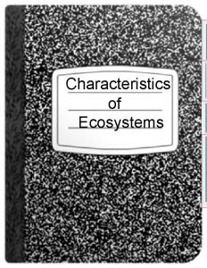 Wetlands Oceans Lakes and Ponds Characteristics of Ecosystems