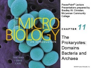 Gammaproteobacteria dichotomous key