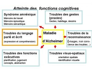 Atteinte des fonctions cognitives Syndrome amnsique Mmoire de