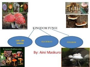 KINGDOM FUNGI CIRI CIRI UMUM KLASIFIKASI By Aini