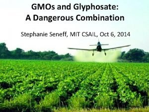 GMOs and Glyphosate A Dangerous Combination Stephanie Seneff