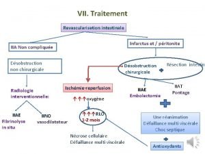 VII Traitement Revascularisation intestinale Infarctus et pritonite IIA