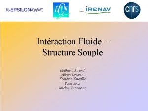 Intraction Fluide Structure Souple Mathieu Durand Alban Leroyer