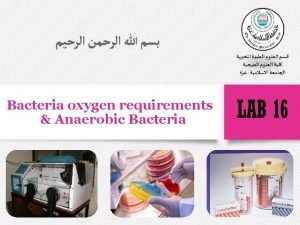 What is obligate anaerobes