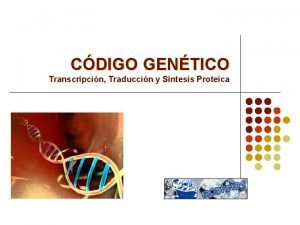 CDIGO GENTICO Transcripcin Traduccin y Sntesis Proteica CDIGO