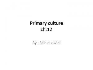 Primary culture ch 12 By Saib al owini