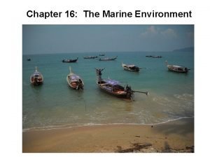 Chapter 16 the marine environment