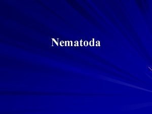 Nematoda Valjkasti crvi ili nematode Nematoda su tip