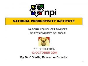 NATIONAL PRODUCTIVITY INSTITUTE NATIONAL COUNCIL OF PROVINCES SELECT