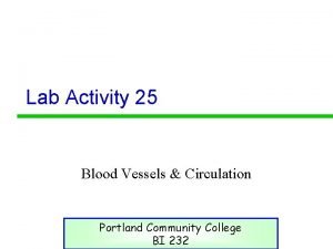 Lab Activity 25 Blood Vessels Circulation Portland Community