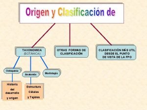 TAXONOMICA BOTNICA Ontogenia Anatoma Historia del desarrollo y