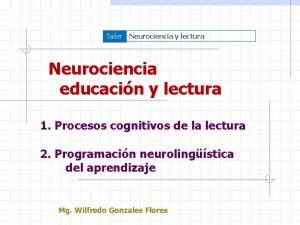 Taller Neurociencia y lectura Neurociencia educacin y lectura