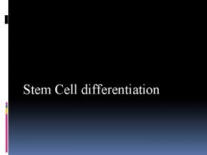 Stem Cell differentiation Differentiation is the process of
