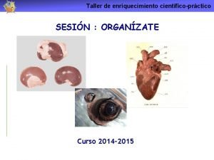 Funcion de nutricion relacion y reproduccion Funcion de nutricion relacion y reproduccion